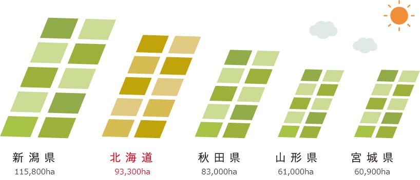 作付面積の多い都道府県（うるち米・もち米）