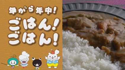 年がら年中！ごはん！ごはん！シリーズ　夏カレー篇